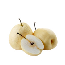 Chinese supplier fresh new crop fruits fresh pear fruit price for export